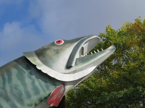 Husky the Muskie